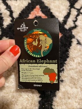 NWT Vintage Rare Disney Animal Kingdom African Elephant Enamel Pin